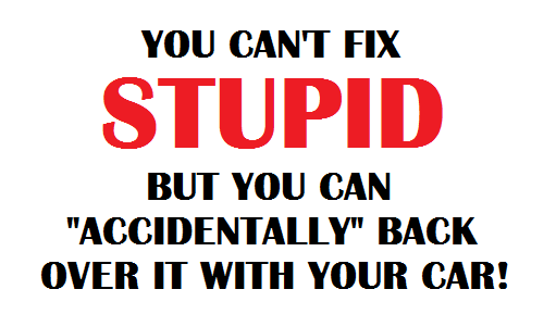 YOU+CAN'T+FIX+STUPID.png