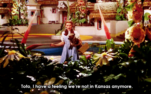 Toto-I-have-a-feeling-we-re-not-in-Kansas-anymore-toto-the-wizard-of-oz-25001749-500-311.gif