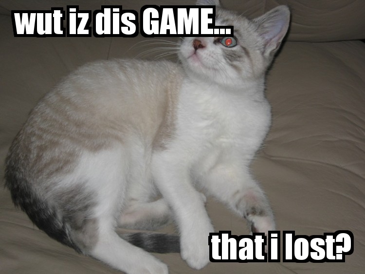 i_just_lost___lolcats_by_stalkerivu.jpg