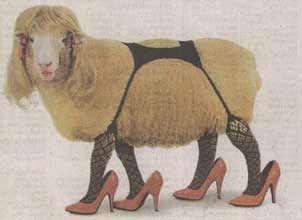 sheep+lingerie.jpg