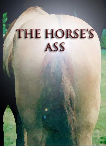 horse-ass.jpg