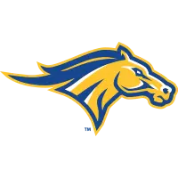 www.monroecollegemustangs.com