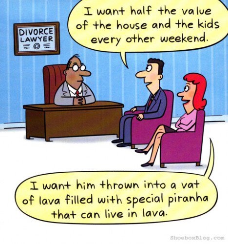 3d26fb64b1ff9c929105e21aa35b84ff--divorce-lawyers-divorce-humor.jpg