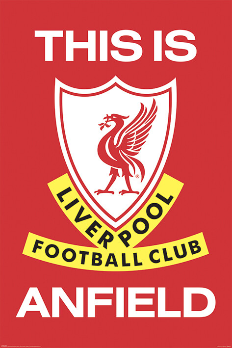 liverpool-fc-this-is-anfield-i95313.jpg