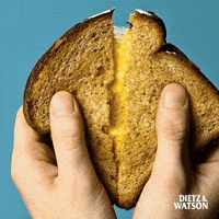 Eat Grilled Cheese GIF by Dietz & Watson
