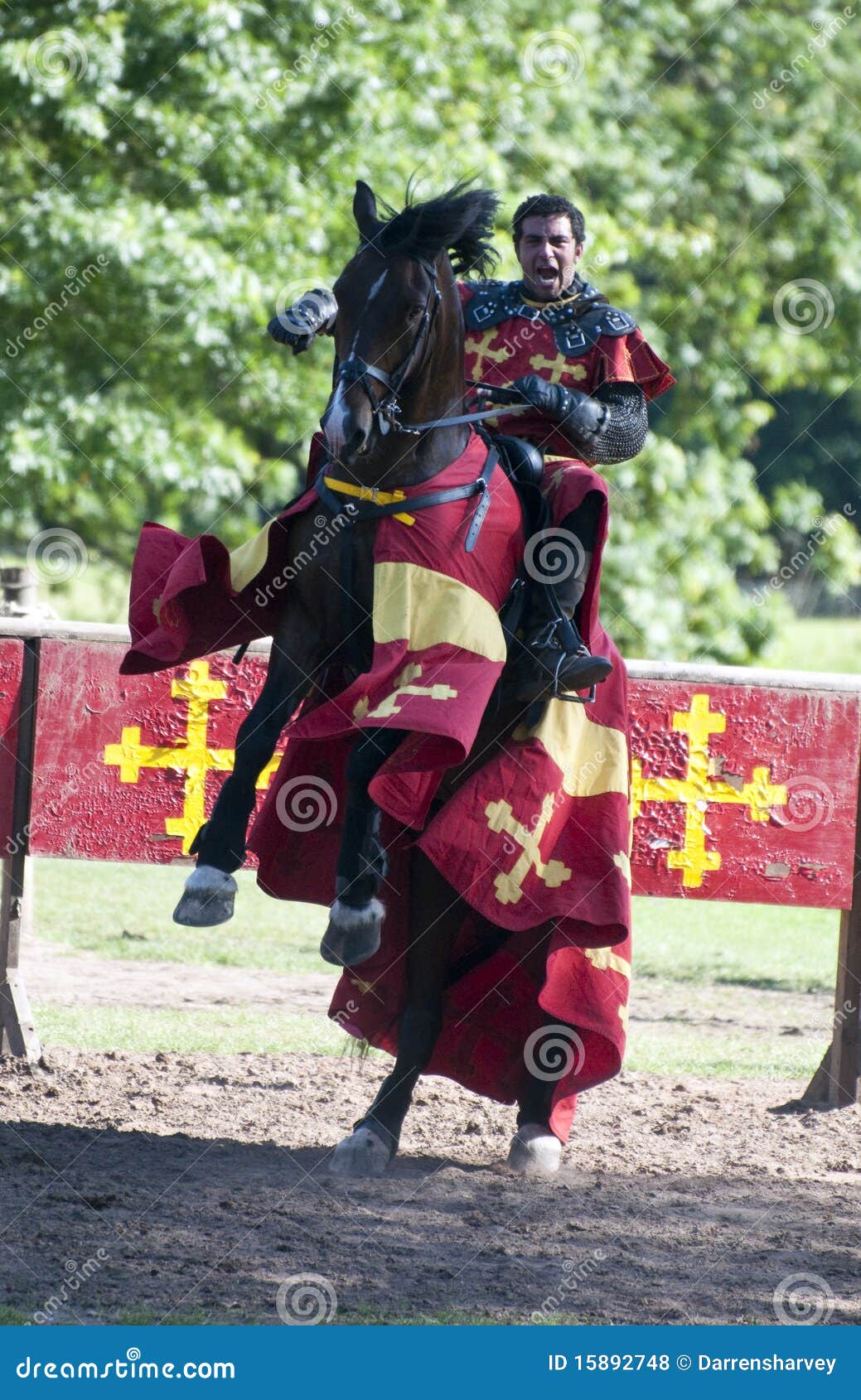 victorious-knight-horseback-warwick-castle-15892748.jpg