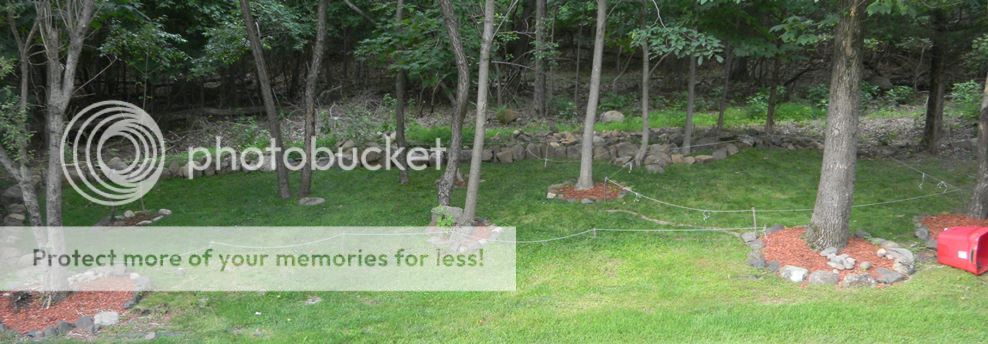 BackyardFirstCut_zpswhlb3kl4.jpg