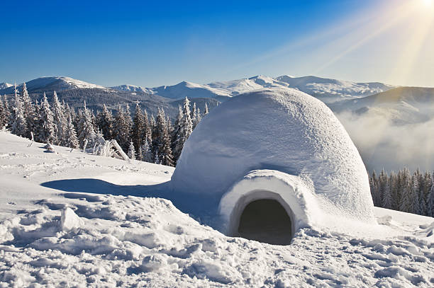 igloo-on-the-snow-picture-id471009394