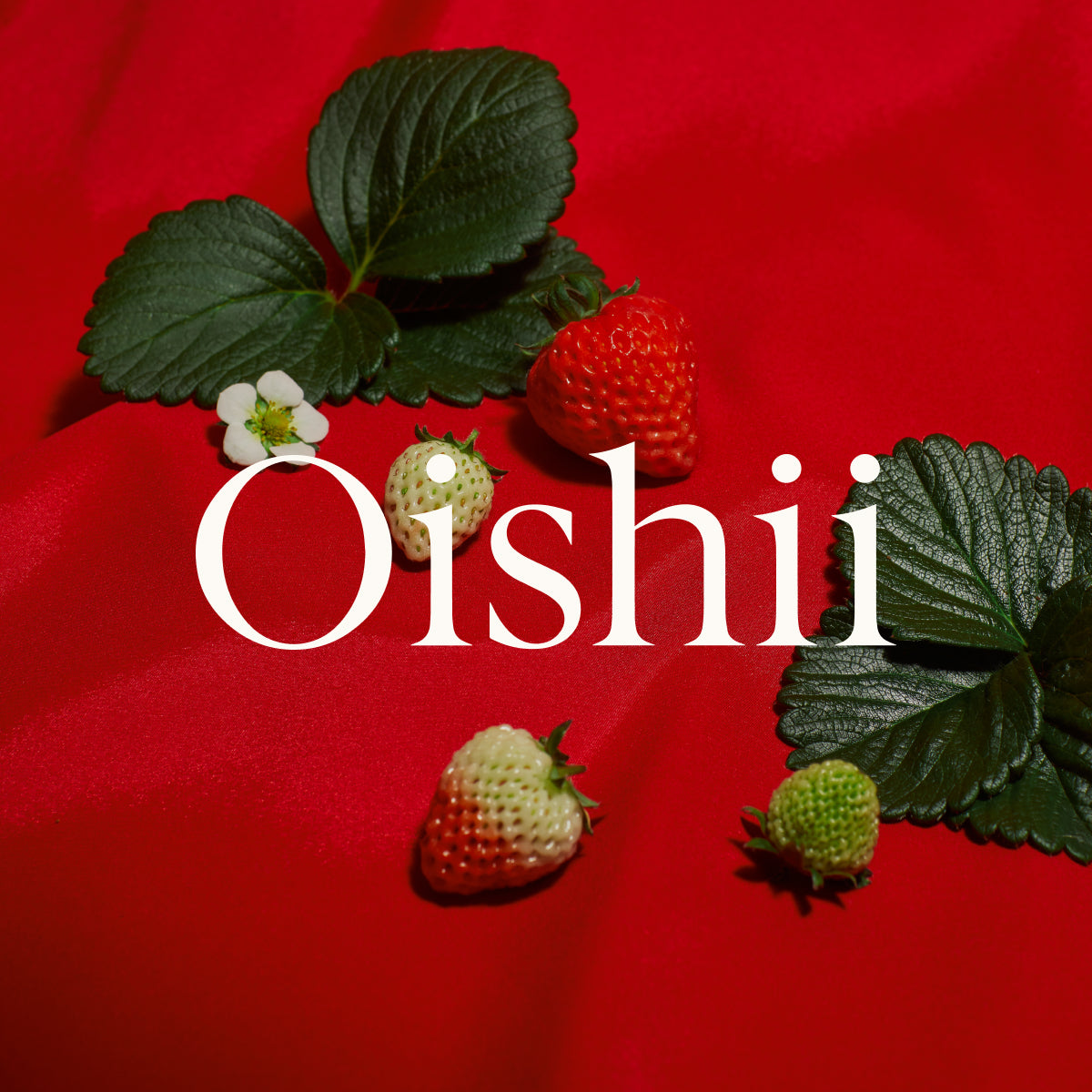 oishii.com