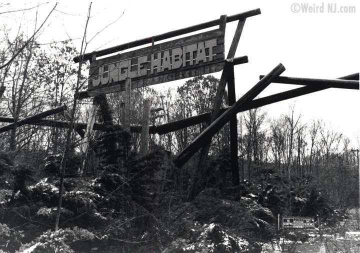 Jungle-Habitat-Sign.jpg
