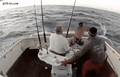 1383848317_man_jumps_off_boat_after_marlin_jumps_in.gif