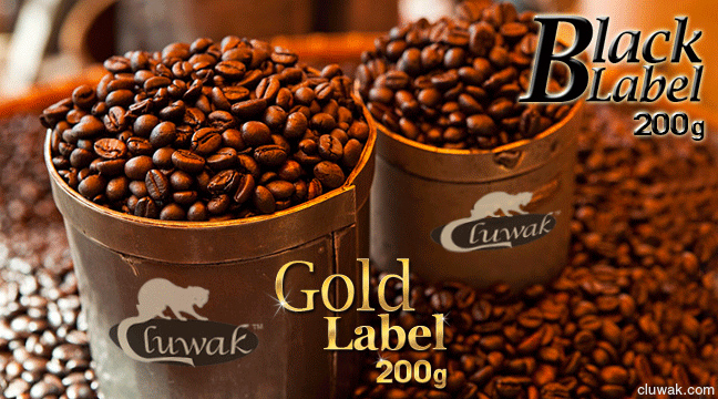 kopi-luwak-coffee-indulge-648x360.jpg