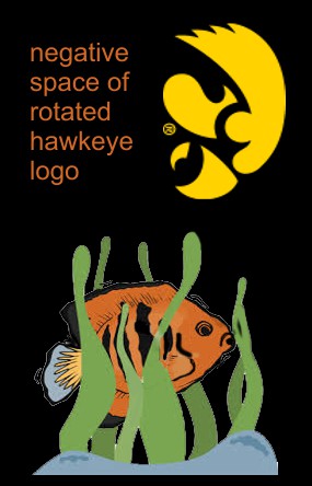 hawkeye-logo-negative-space.jpg