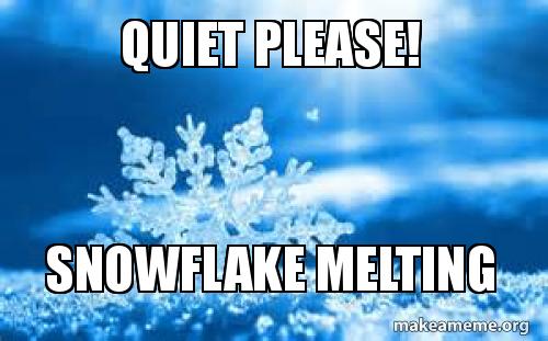 quiet-please-snowflake.jpg