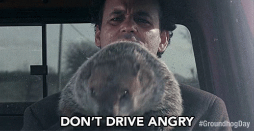 dont-drive-angry-bill-murray.gif